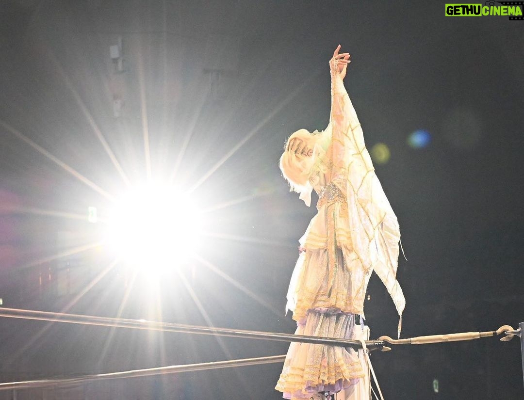 Natsumi Maki - 6.8K Likes - なつぽいプロレスデビュー8周年🎊
まさか自分がこんなにプロレスを続けてるなんて思ってもいなかった。
そしてこんなにプロレスが大好きになるとも思っていなかった。
リングでは、
好きな自分になれて、好きな人生を生きれて、好きに走り回れる。
時には逃げ出したくなるような事もあったり、本気で怒ったり、泣いたり、泣いたり、泣いたり(笑)泣いてばっかやん!って言われちゃうかもだけどww
それ以上に嬉しい気持ちになったり、幸せだなーって感じる事があったり、達成感や、爽快感、責任感、普通に生きてるだけじゃ感じられない気持ちにたくさんさせられる。
だから、辞められないんだよね🌟
ぽい族のつぶやきを見るのも族長の楽しみの一つ。
エゴサーチが日課みたいになってて、それもとても幸せで。😌
色んな意見を目にするし、もちろん悪い言葉もあるけど、私はぽい族の暖かい言葉が一つあることでもう十分なんだ。
それがプロレスを続ける理由になるし、リングで戦う活力になるんだ。
いつも味方でいてくれて、
支えてくれて本当にありがとう。
ぽい族のみんなにも、推してて幸せ。って思ってもらえるように、これからも全力でがんばる。
9年目も一緒に突っ走って、笑って、泣いて、
めっちゃ青春しようっ🌟🌟🌟
これからもずっとよろしくね。
#なつぽい #なつぽい革命 #natsupoi #デビュー記念日