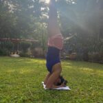 Neha Mahajan Instagram - Tuning ☀️🌴🎶🧘🏻‍♀️wishing you all a ton of happiness and peace ! #yoga #music #sitar