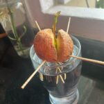 Neha Mahajan Instagram – Look at this one! What a cutie ☺️ an avocado sapling making its way into the big world, after the fruit was enjoyed on the breakfast plate a few weeks ago. #avocado #seedtosapling 
#citygarden Mumbai