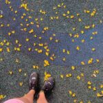 Neha Mahajan Instagram - flowers strewn by the wind, rain settling in! 🌧️ good morning dear world #run #morning #mumbai