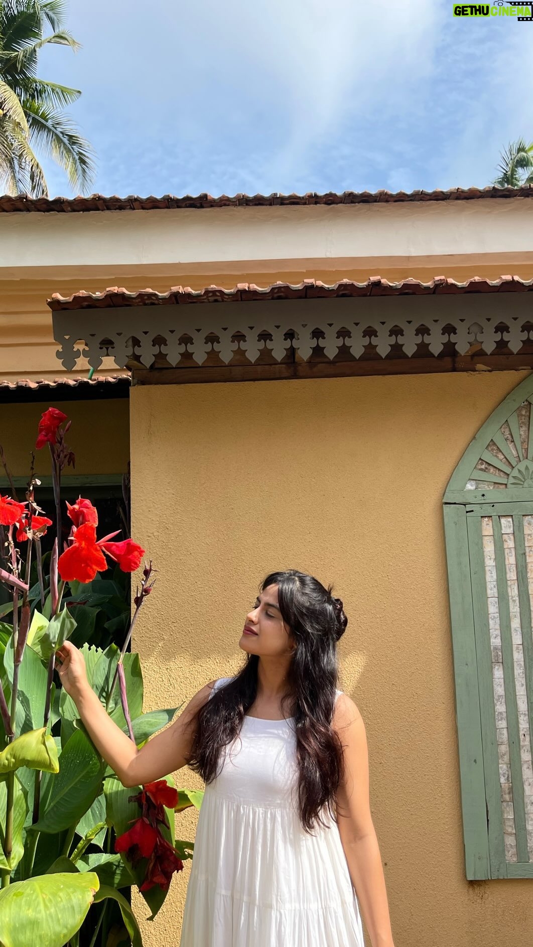 Neha Mahajan Instagram - @cajugrovegoa is definitely a place for beauty and peace and fun, all at once ♥️ #goa #goahomestay #travel