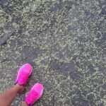 Neha Mahajan Instagram – Finished my longest run of the year today 🙌🏽🥳 sun rose after 10k ☀️

(15kms  @ 6:51) 

#morningrun Mumbai, Maharashtra