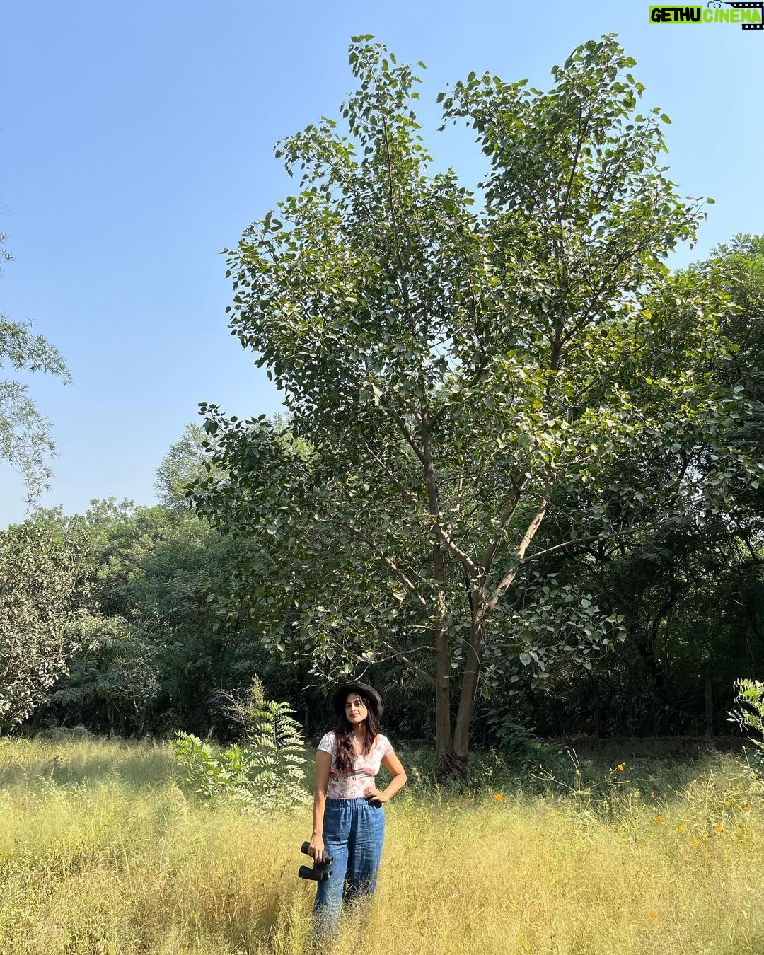 Neha Mahajan Instagram - So fast-paced, picky and persistent! πΆππ»ββοΈ #birds #mondaymotivation