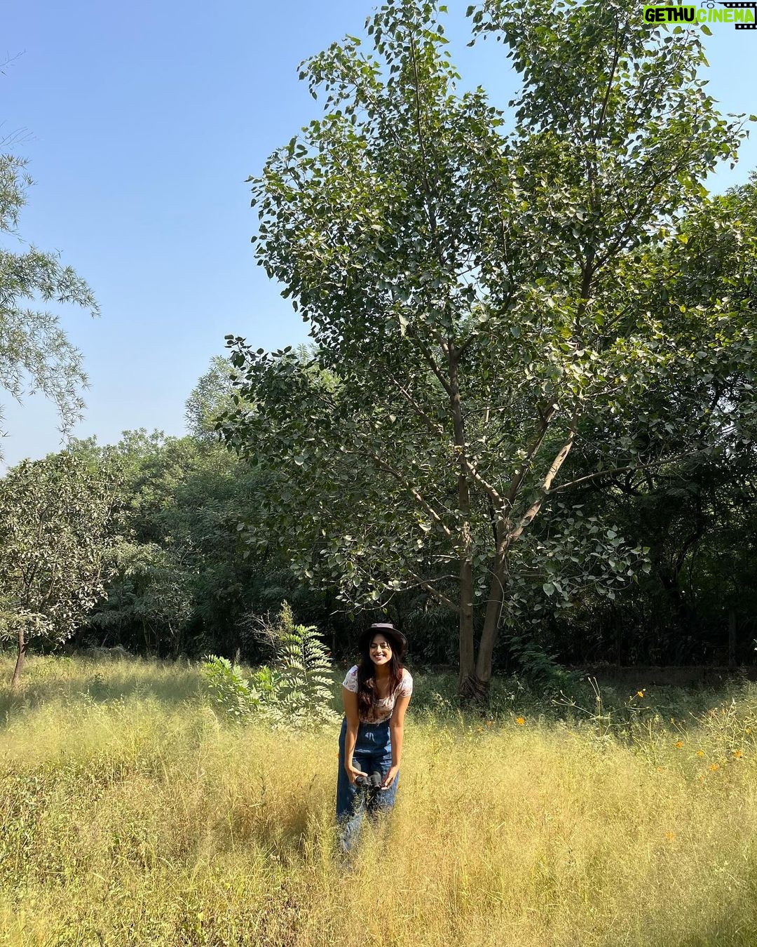 Neha Mahajan Instagram - So fast-paced, picky and persistent! πΆππ»ββοΈ #birds #mondaymotivation