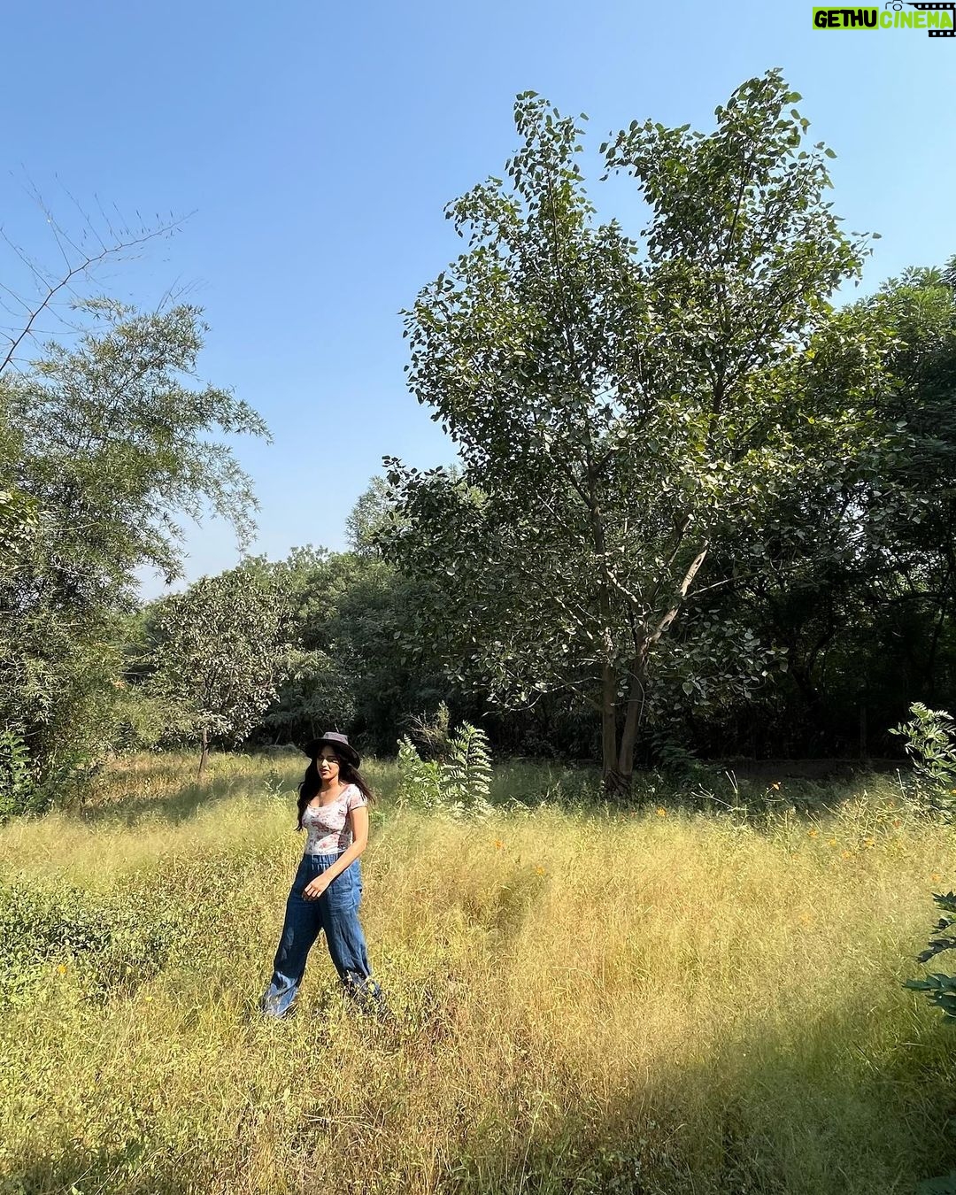 Neha Mahajan Instagram - So fast-paced, picky and persistent! 🎶🙆🏻♀️ #birds #mondaymotivation