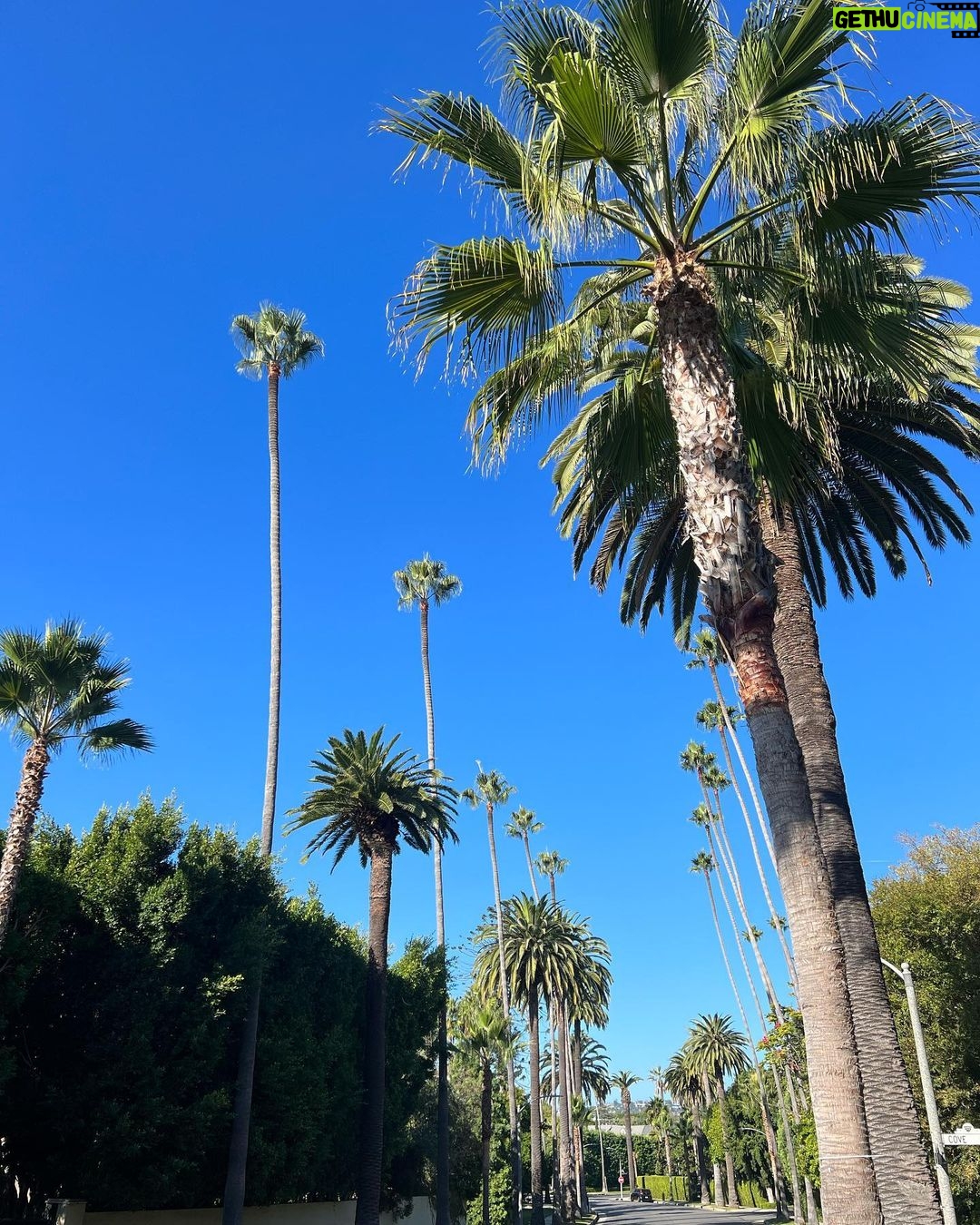 Nick Barrotta Instagram - @americanfilminstitute 😎🌴 Beverly Hills, California