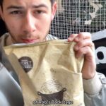 Nick Jonas Instagram – For my tour pre-show ritual all you need is to head to @krogerco, grab a bag of @robspopcorn… and enjoy! Easy 😎 Head to the link in @robspopcorn bio to find Rob’s in stock at a Kroger store near you!