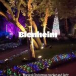 Nick Knowles Instagram – #blenheimpalace #christmas #magical