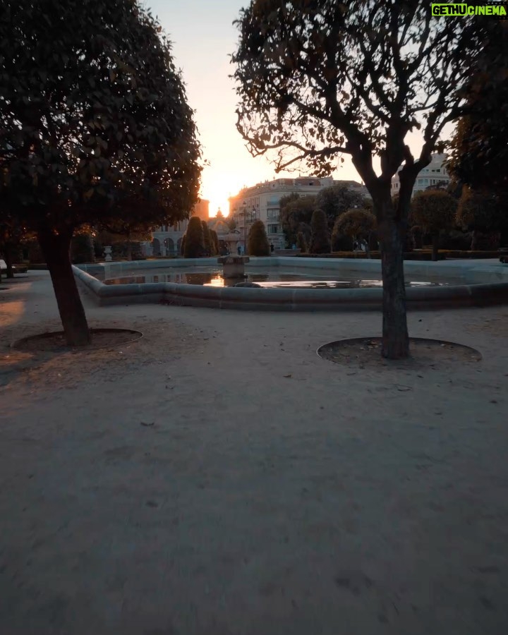 Nicolás Amelio-Ortiz - 4.1K Likes - Ayer probando aparatos nuevos en el Retiro 🎥📸 Vendí todo mi equipo de cámara anterior y me compré otro para viajes que es la mitad de pesado pero graba con la misma calidad. Es increíble pero comprensible que la tecnología de sensores, estabilizadores y micrófonos avance tan rápido: vivimos en la época que más video consume de la historia. Es un momento único para los creadores audiovisuales 😵💫