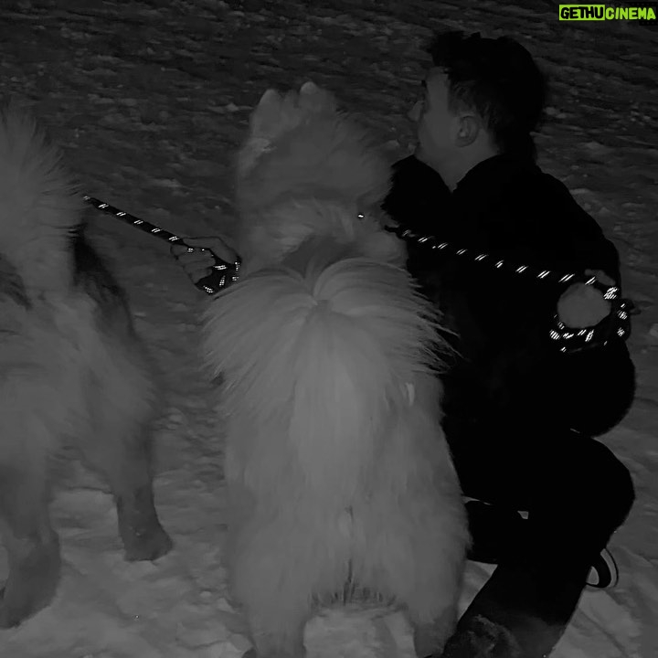 Nicolas Couteau Instagram - A la recherche d’un Dogsitter ? Call me ! 🐾🦮 Non en vrai je ne m’en sortais plus ils avaient trop de force 😂 #doglover Courchevel 1850