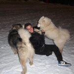 Nicolas Couteau Instagram - A la recherche d’un Dogsitter ? Call me ! 🐾🦮 Non en vrai je ne m’en sortais plus ils avaient trop de force 😂 #doglover Courchevel 1850