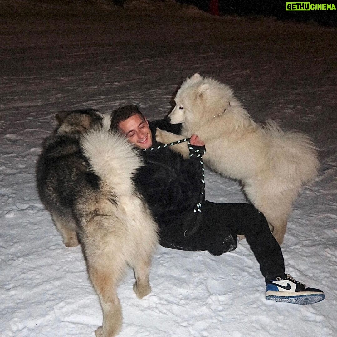 Nicolas Couteau Instagram - A la recherche d’un Dogsitter ? Call me ! 🐾🦮 Non en vrai je ne m’en sortais plus ils avaient trop de force 😂 #doglover Courchevel 1850