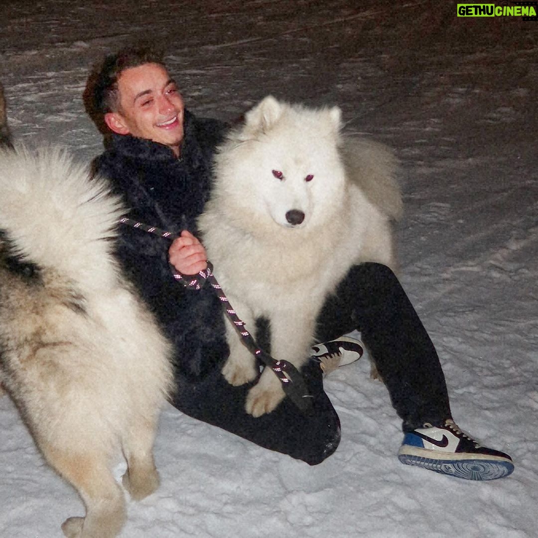 Nicolas Couteau Instagram - A la recherche d’un Dogsitter ? Call me ! 🐾🦮 Non en vrai je ne m’en sortais plus ils avaient trop de force 😂 #doglover Courchevel 1850