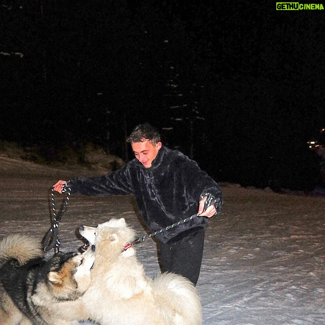 Nicolas Couteau Instagram - A la recherche d’un Dogsitter ? Call me ! 🐾🦮 Non en vrai je ne m’en sortais plus ils avaient trop de force 😂 #doglover Courchevel 1850