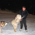 Nicolas Couteau Instagram – A la recherche d’un Dogsitter ? Call me ! 🐾🦮
Non en vrai je ne m’en sortais plus ils avaient trop de force 😂
#doglover Courchevel 1850