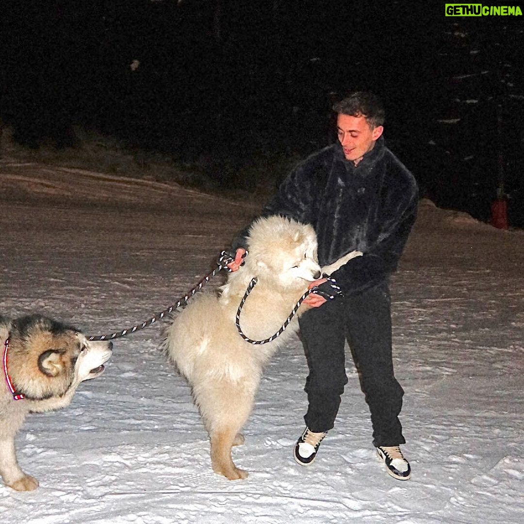 Nicolas Couteau Instagram - A la recherche d’un Dogsitter ? Call me ! 🐾🦮 Non en vrai je ne m’en sortais plus ils avaient trop de force 😂 #doglover Courchevel 1850
