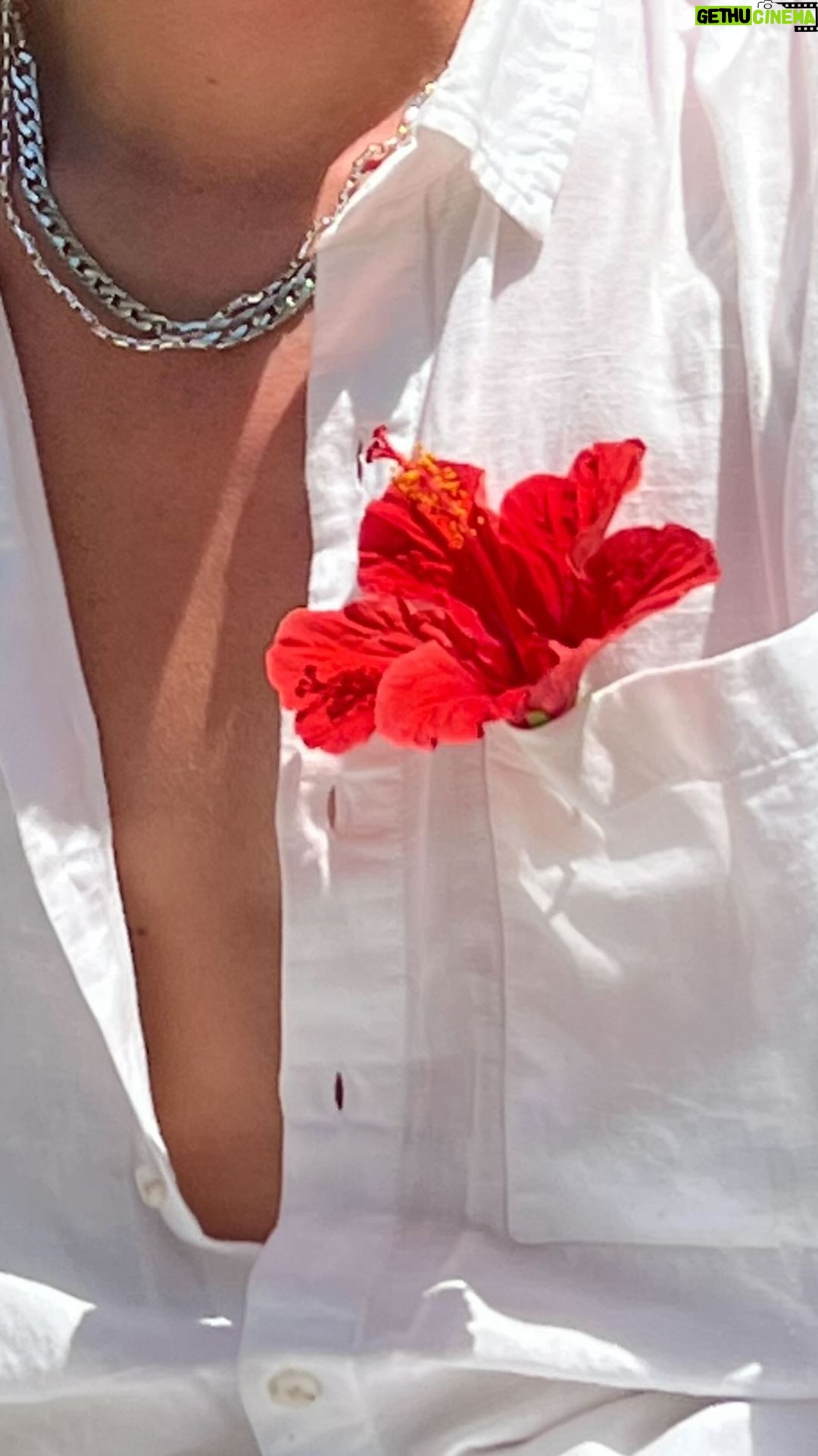 Nicolas Couteau Instagram - Je suis s没r qu鈥檃illeurs il existe une personne comme moi mdrr 馃槀 Marbella, M谩laga, Spain