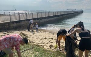 Nicole Seah Instagram - Thankful for the splendid weather this morning as the skies cleared up for the @wpyouthwing beach clean-up at East Coast park! Many participants ended up bringing their family members along, from toddlers to teenagers. They also provided feedback that the activity was meaningful and made them more aware of how we dispose of waste, and the need to keep our environment clean. Zero waste may be a challenging ambition for many, but all it takes sometimes are little actionable steps such as minimising our use of one-off disposables as we move towards a more mindful direction as a community. On a social note, my 4 year old had lots of fun interacting with the other kids today, and played with VP and fellow CEC member @nathanielkoh.sg ‘s toddler son. Also thankful to @abdulshariff.sg and @fadli_fawzi for always being supportive of youth wing activities!