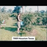Nicole Stuart Instagram - 1989 ( Houston Texas) vs. 2023 < 🫐🫐🫐🫐picking blueberrys Houston Texas during the middle of my duration while dancing there in the show I danced in callled Bottoms Up. A Las Vegas show we took on the road to the Tower Theatre in Houston. Today in 2023 we went picking Blueberrys with my family and im so grateful to be able to be doing this some 31 years later. Holy shit time does fly by… with me is @brigil97 my #bff ⁣ .⁣ .⁣ .⁣ .⁣ .⁣ #bethankfuleveryday #inspireothers #positivity #happinessisaninsidejob #focused #focus #positivemindset #happinessisachoice #thinkpositive #focusonthegood #mindsetiseverything #changestartswithyou # #inspiration #changeisgood #youcandoanything #change #me #changetheworld #staytruetoyourself #changemaker #goodvibes #changeyourself #focusonyourgoals #changemakers