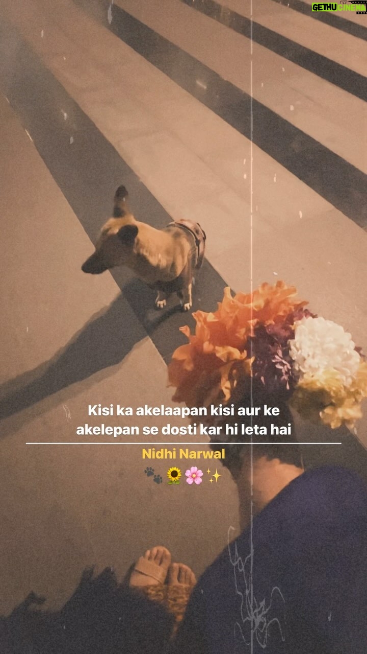 Nidhi Narwal Instagram - अकेलापन भी ना यार!🌔💫