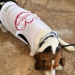 Nikoletta Ralli Instagram - Να είμαστε καλά και του χρόνου @mibs_group #raceforthecure 💗 Ζάππειο, Αθηνα
