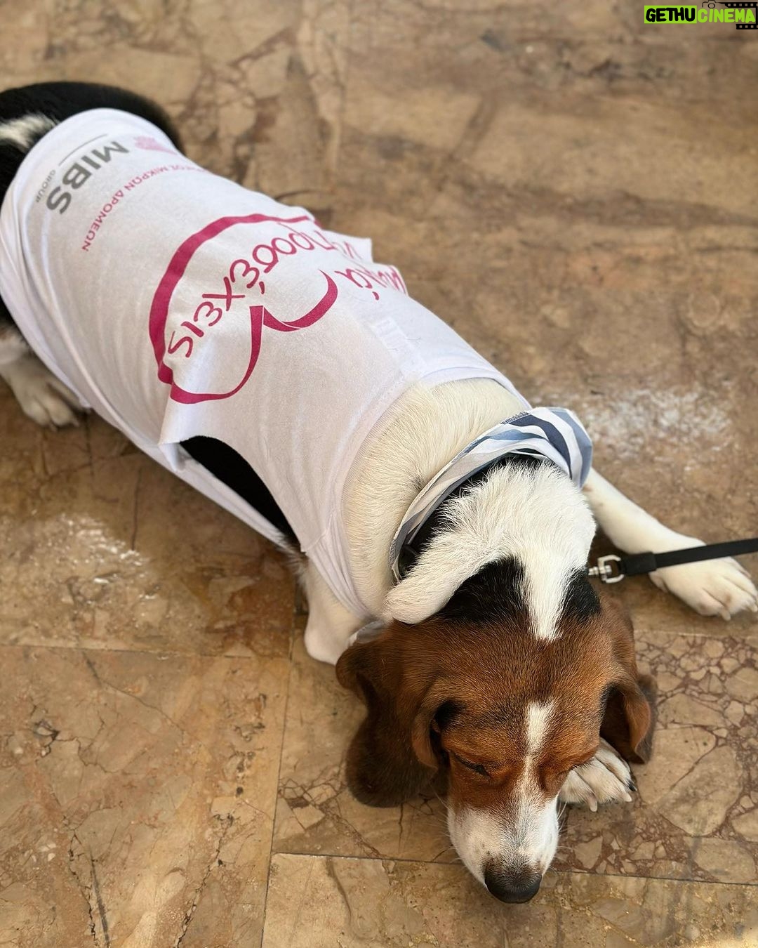 Nikoletta Ralli Instagram - Να είμαστε καλά και του χρόνου @mibs_group #raceforthecure 💗 Ζάππειο, Αθηνα