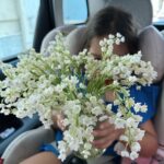 Nikoletta Ralli Instagram – Το μιγκέ, γνωστό και ως «Δάκρυ της Παναγιάς». Ξεχωρίζει για την ιδιαίτερη εμφάνισή του και το μοναδικό του άρωμα. Τα άνθη του θεωρούνται ως σύμβολο ευτυχίας γι’αυτό και συχνά το συναντάμε σε νυφικά μπουκέτα♥️ Ευχαριστούμε πολύ, Δημήτρη μας  @jimlabraco