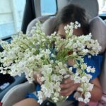 Nikoletta Ralli Instagram - Το μιγκέ, γνωστό και ως «Δάκρυ της Παναγιάς». Ξεχωρίζει για την ιδιαίτερη εμφάνισή του και το μοναδικό του άρωμα. Τα άνθη του θεωρούνται ως σύμβολο ευτυχίας γι'αυτό και συχνά το συναντάμε σε νυφικά μπουκέτα♥️ Ευχαριστούμε πολύ, Δημήτρη μας @jimlabraco