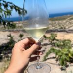 Nikoletta Ralli Instagram - When there is no wine, there is no love 🥂 Χικ #winelover #visitgreece #greece #santorini Santorini, Greece
