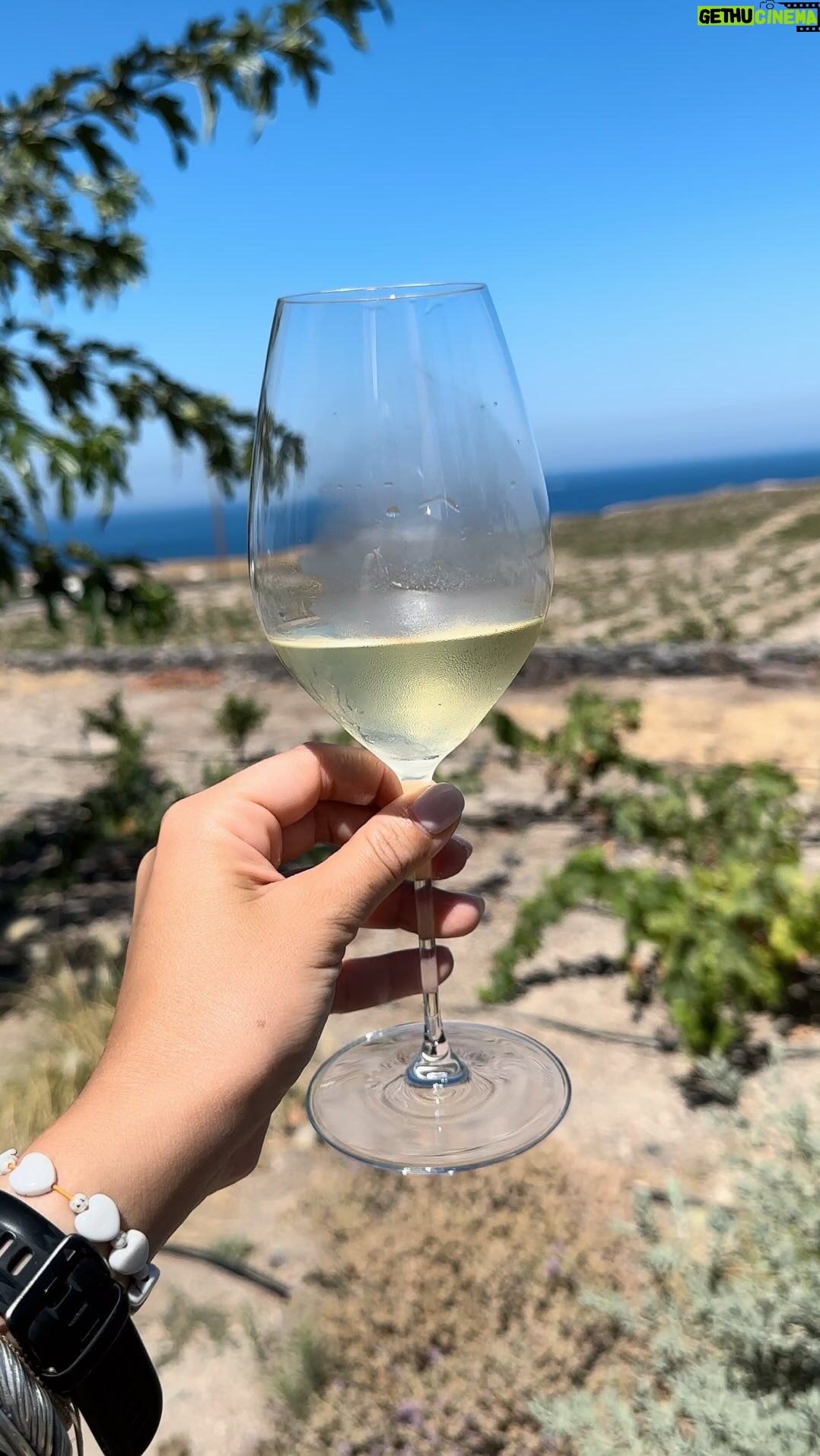 Nikoletta Ralli Instagram - When there is no wine, there is no love 🥂 Χικ #winelover #visitgreece #greece #santorini Santorini, Greece