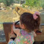 Nikoletta Ralli Instagram - "I laugh in the face of danger." -Simba #disney #lionking Athens, Greece