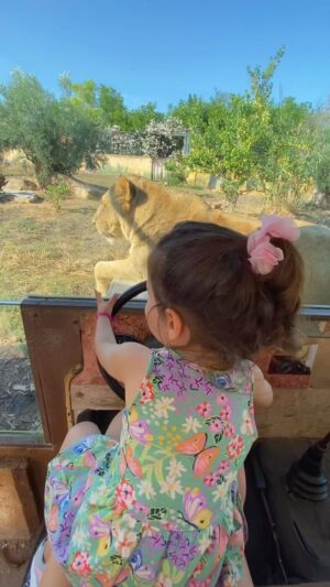 Nikoletta Ralli Instagram - "I laugh in the face of danger." -Simba #disney #lionking