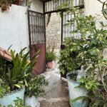 Nikoletta Ralli Instagram - Το χωριό μας♥️ 1. Το σπίτι μας🏡 2. Ο κήπος της Μαρίας 🌺 3. Οι κάτω βρύσες, που πλένανε παλιά ρούχα 💦 4. Η πλατεία του ονείρου ✨ 5. Το τραπέζι για το αποψινό δείπνο 🧂 Πλατανος ΑΧΑΙΑΣ