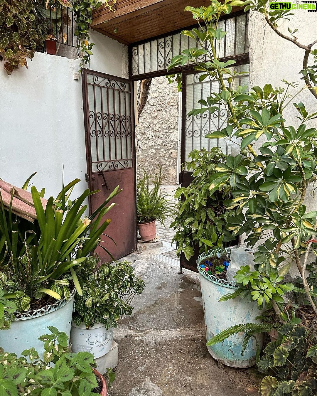 Nikoletta Ralli Instagram - Το χωριό μας♥️ 1. Το σπίτι μας🏡 2. Ο κήπος της Μαρίας 🌺 3. Οι κάτω βρύσες, που πλένανε παλιά ρούχα 💦 4. Η πλατεία του ονείρου ✨ 5. Το τραπέζι για το αποψινό δείπνο 🧂 Πλατανος ΑΧΑΙΑΣ