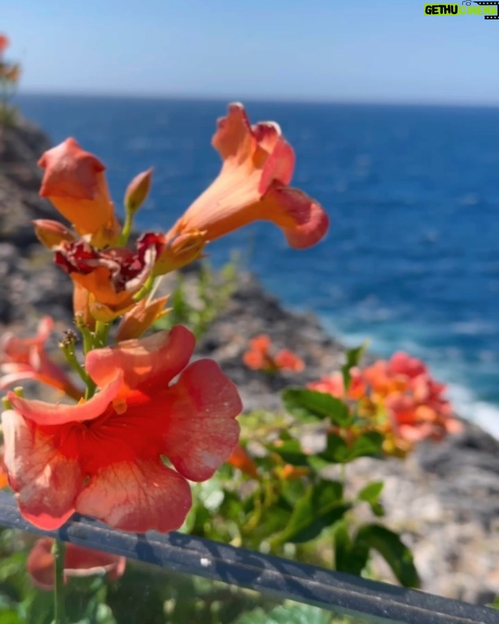 Nikoletta Ralli Instagram - Στο νησί @islabrownchania ♥️ Isla Brown Chania