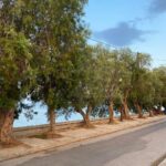 Nikoletta Ralli Instagram - Το καλοκαίρι στις 21:00♥️