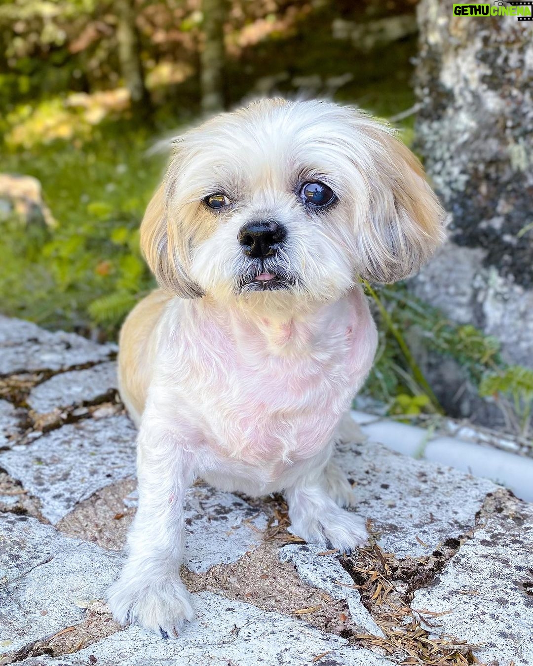 Nikoletta Ralli Instagram - Ήταν μια Κυριακή του καλοκαιριού, στο βουνο ⛰️ (να το προτιμάτε) Αραχωβα Παρνασσος