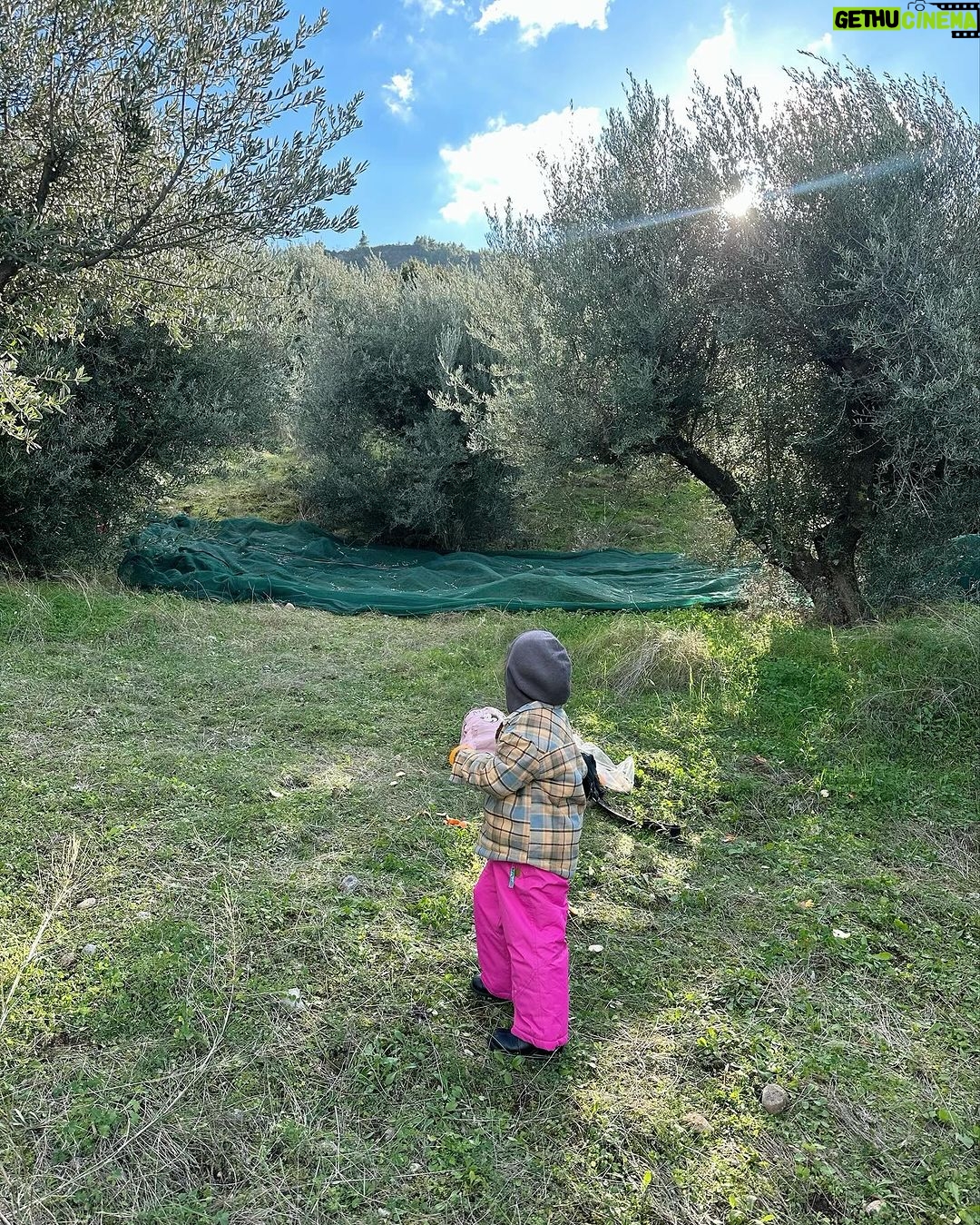 Nikoletta Ralli Instagram - Σαν την φύση δεν έχει🌳🏡 Είναι στιγμές που απορώ, τι κάνω (κάνουμε) στην Αθήνα;! Ρητορική ερώτηση προφανώς…την απάντηση την ξέρω.. Πλατανος ΑΧΑΙΑΣ