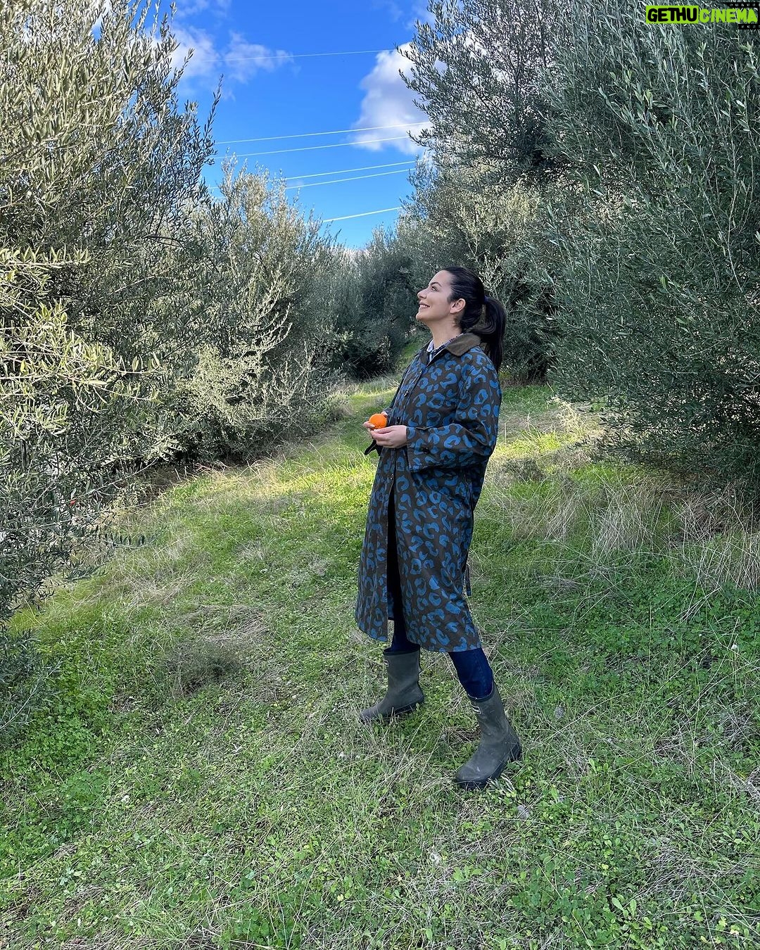 Nikoletta Ralli Instagram - Σαν την φύση δεν έχει🌳🏡 Είναι στιγμές που απορώ, τι κάνω (κάνουμε) στην Αθήνα;! Ρητορική ερώτηση προφανώς…την απάντηση την ξέρω.. Πλατανος ΑΧΑΙΑΣ