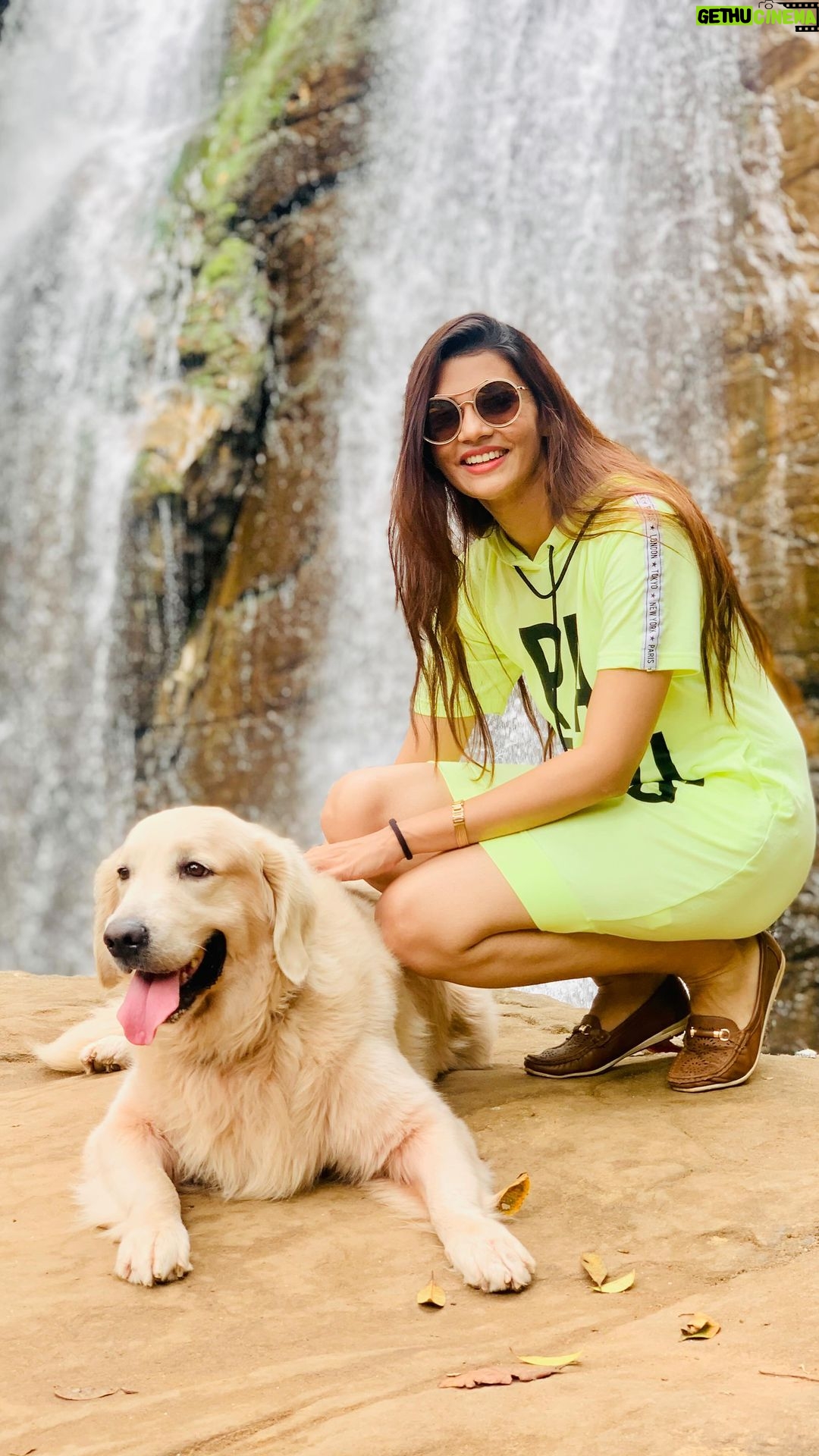 Nimika Ratnakar Instagram - From not so pet friendly to being compassionate towards every animal I meet , you have brought loads of changes in my personality . Not just mine , you have changed the perception of pets in my entire family by showering us with your unconditional love . Thank you for coming into our lives . Happy birthday my dearest BOZZO kinni π #nimika #nimikaratnakar #bozzo #happybirthday #pets #petstagram #petlovers #retriever #dogoftheday #trending #trendingreels #reelsinstagram #reels #viral #kinnikinni #diljitdosanjh #kannada #sandalwood #actress