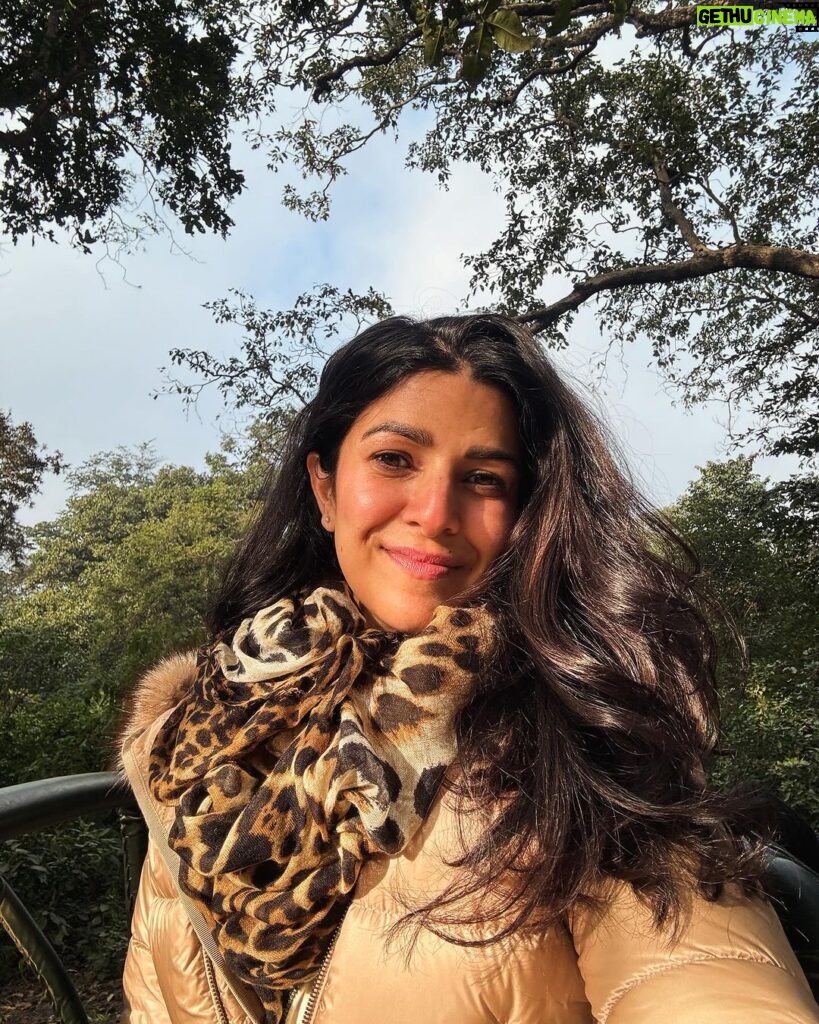 Nimrat Kaur Instagram - Had my first coffee and breakfast and my heart’s fill of love and laughter with my family in the wild. Spent all of the first day of the new year deep in the jungles of Kumaon, capturing it from before sunrise till after sunset. Happy New Year and wishing you the best start to 2024!! ♥️🍀🐾🐯 #wellbegunishalfdone #2024♥️ #shotonihone15promax #BharatKiNimrat Jim Corbett National park, Nainitaal