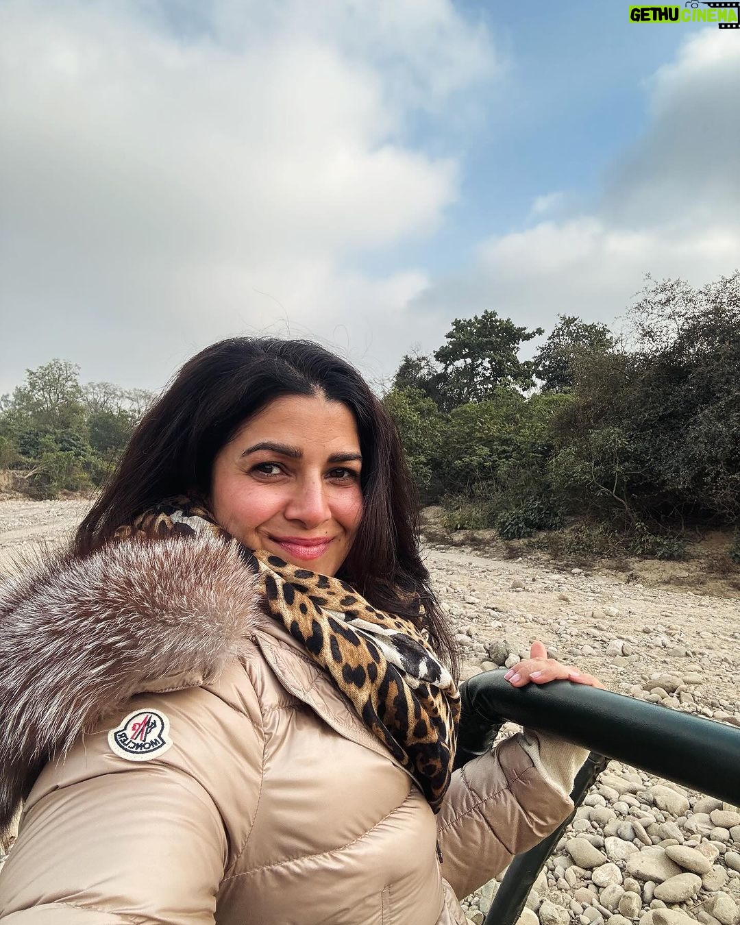 Nimrat Kaur Instagram - Had my first coffee and breakfast and my heart’s fill of love and laughter with my family in the wild. Spent all of the first day of the new year deep in the jungles of Kumaon, capturing it from before sunrise till after sunset. Happy New Year and wishing you the best start to 2024!! ♥️🍀🐾🐯 #wellbegunishalfdone #2024♥️ #shotonihone15promax #BharatKiNimrat Jim Corbett National park, Nainitaal