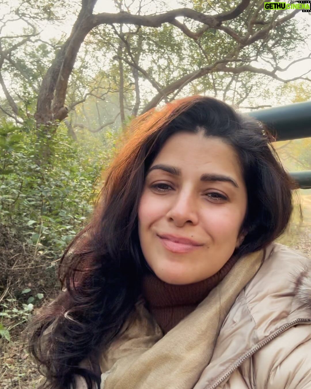 Nimrat Kaur Instagram - Had my first coffee and breakfast and my heart’s fill of love and laughter with my family in the wild. Spent all of the first day of the new year deep in the jungles of Kumaon, capturing it from before sunrise till after sunset. Happy New Year and wishing you the best start to 2024!! ♥️🍀🐾🐯 #wellbegunishalfdone #2024♥️ #shotonihone15promax #BharatKiNimrat Jim Corbett National park, Nainitaal