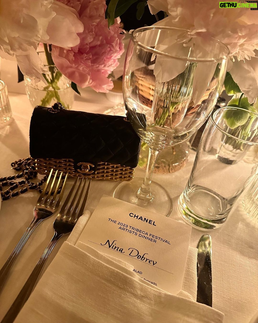 Nina Dobrev Instagram - Girlz nightz out #whoruntheworld