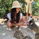 Nina Dobrev Instagram – officially an unofficial certified lemur masseuse ✅