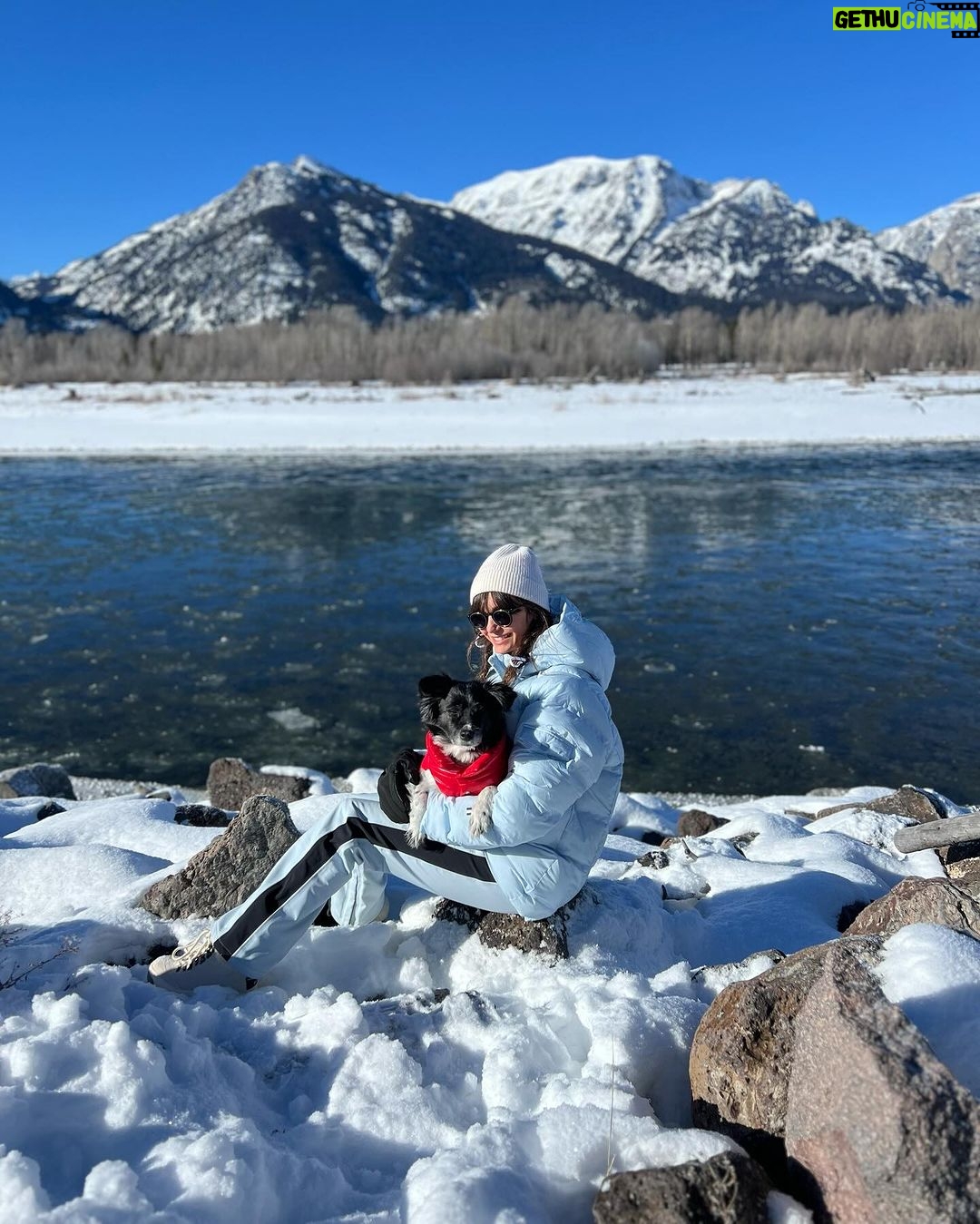 Nina Dobrev Instagram - Christmas week ♥️✨