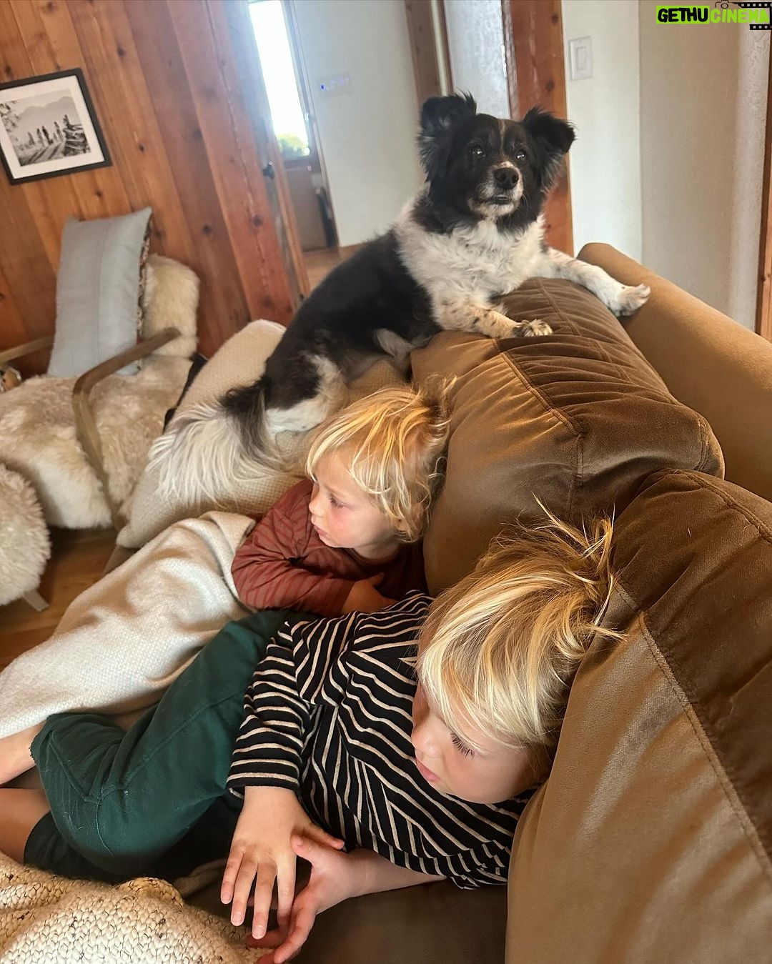 Nina Dobrev Instagram - Christmas week ♥️✨