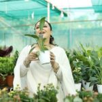 Nishita Goswami Instagram – Have you ever experienced that wonderful feeling when you take care of something and witness it grow? Speaking of nurturing, I recently purchased a few plants from Siddhi Greens, and the experience was truly fulfilling. And guess what? I returned to Siddhi Greens once again to explore their new collections.

Speaking of their new collections, their winter lineup includes Aglaonema, colorful poinsettias, beautiful chrysanthemums, and more. Do visit Siddhi Greens to explore these beautiful collections and treat yourself to adorable plants this New Year.

Makeup- @jonaliboruahmakeupartist 
Videography- @riyandipenphotography 
Siddhi Greens Address: Dakhingaon Cycle Track, GG Rd, Sawkuchi, Guwahati, Assam 781040
Contact Number: 9706066321

#flowerblooming #flowerblossom #flowerlovers #plantshop #plantshoping #plantworld #plantation #plantoholic #varietyofplants #nature #plants #flowers #plantsingarden #gogreenorgohome #guwahatinursery #plantseller #guwahati #siddhigreens