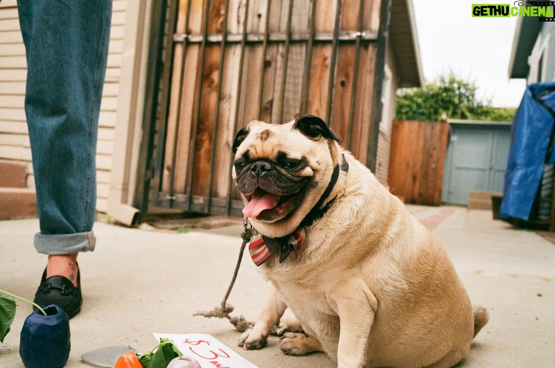 Noël Wells Instagram - the good old days #35mm