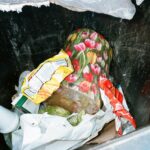 Noël Wells Instagram – 35mm, a thread
